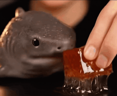 Person Touching Jelly GIF