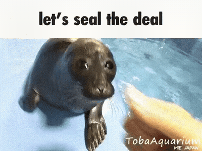 Person Touching Seal Let's Seal The Deal GIF