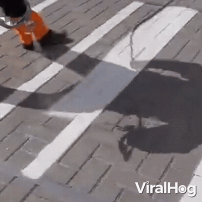 Person Walking Across Crosswalk With Shadow GIF