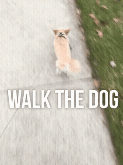 Person Walking Dog Saying Walk The Dog GIF