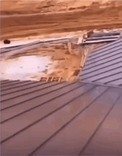 Person Walking Down Stairs Holding Skateboard GIF