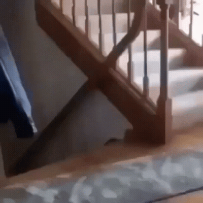Person Walking Down Wooden Stairs GIF