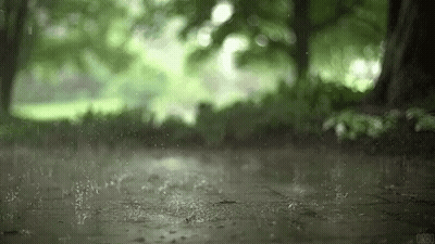 Person Walking In Rain In Woods GIF