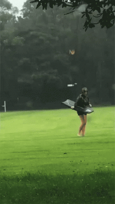 Person Walking On Green Field With Skateboard GIF
