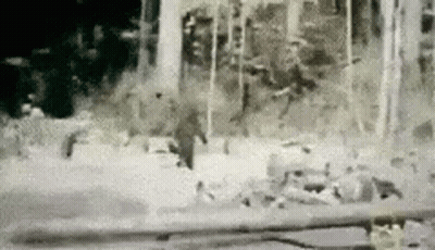 Person Walking Through Snow In Forest GIF