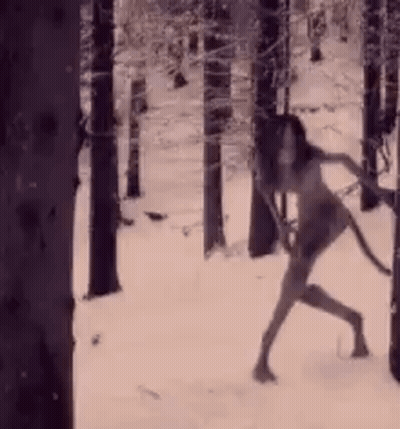 Person Walking Through Snowy Forest GIF
