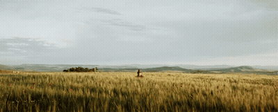 Person Walking Through Tall Grass With Mountains GIF