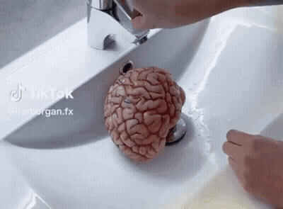 Person Washing Brain In Sink Tiktok GIF
