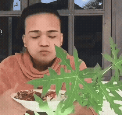 Person Washing Dishes In Kitchen Sink GIF