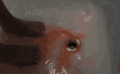 Person Washing Hands In Bloody Sink GIF