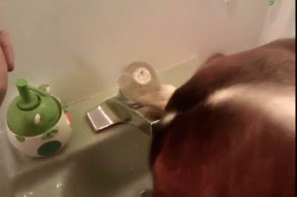 Person Washing Hands With Frog Soap Dispenser GIF