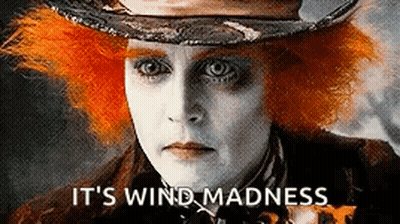 Person Wearing Hat Saying It's Wind Madness GIF
