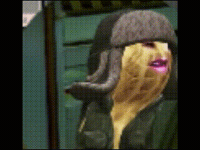 Person Wearing Hat With Mouth Open GIF