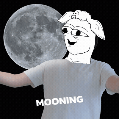 Person Wearing Mooning T-Shirt GIF