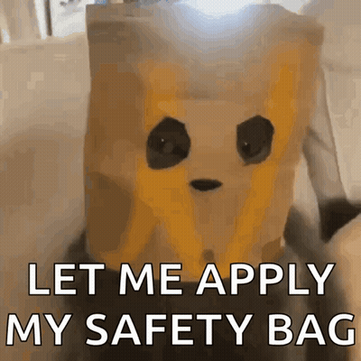 Person Wearing Paper Bag Saying Let Me Apply My Safety Bag GIF