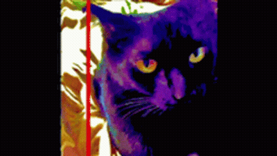 Person Wearing Pearl Necklace GIF