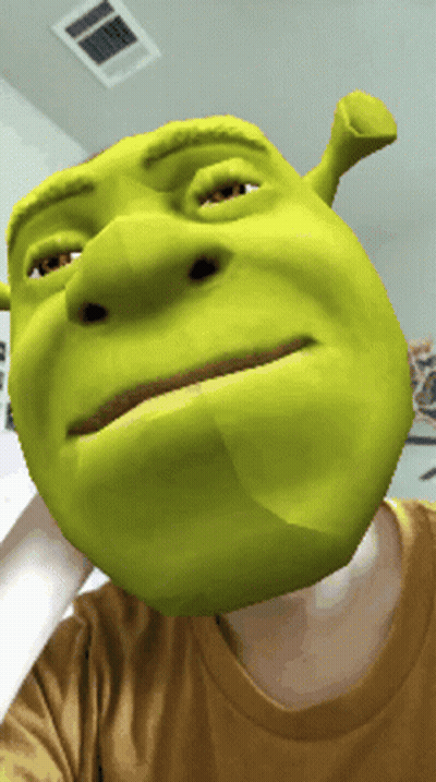 Person Wearing Shrek Face Shirt GIF