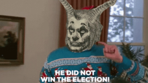 Person Wearing Sweater Saying Did Not Win Election Pointing GIF