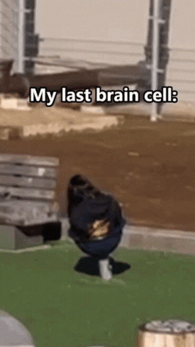 Person With Backpack Sitting On Bench Saying My Last Brain Cell GIF