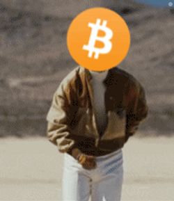 Person With Bitcoin Covered Face GIF