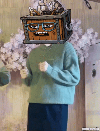 Person With Box On Head Saying Gifmemes.io GIF