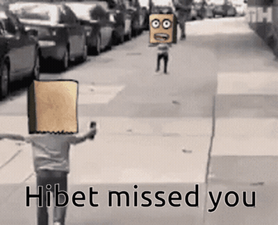 Person With Cardboard Box On Head Walking Down Street Saying Hibet Missed You GIF