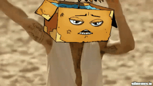 Person With Cardboard Box On Head GIF
