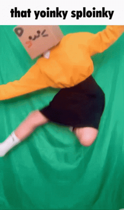 Person With Cardboard Box Saying Yoinky Sploinky GIF