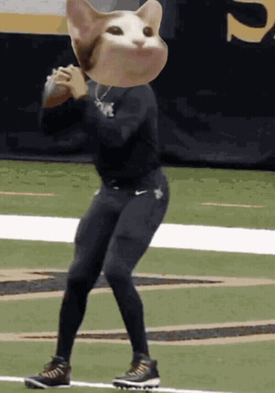Person With Cat Head GIF