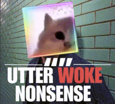Person With Cat On Head Utter Woke Nonsense GIF