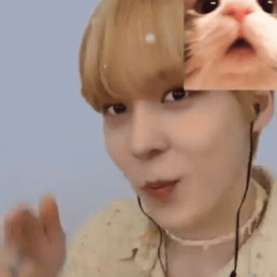 Person With Cat Portrait On Face GIF