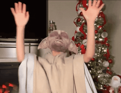 Person With Christmas Tree Hands Up GIF