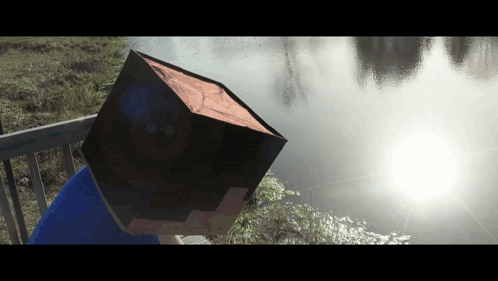 Person With Cube On Head In Front Of Lake GIF