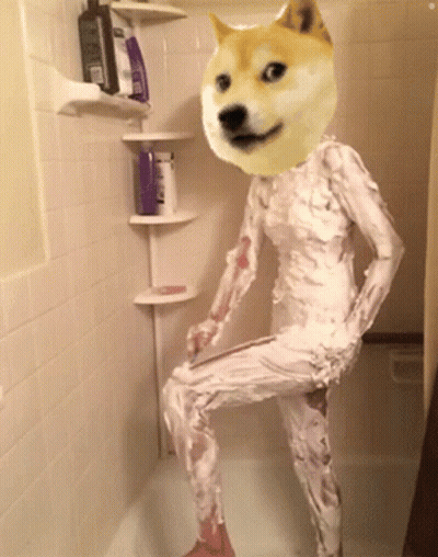 Person With Doge Head Taking A Bath GIF