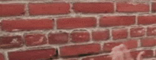 Person With Hands Up At Red Brick Wall GIF