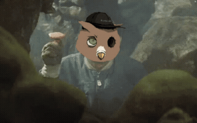 Person With Owl Head GIF