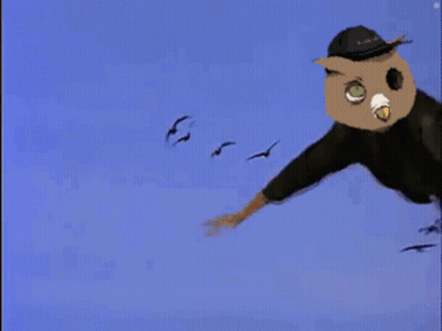 Person With Owl Mask GIF