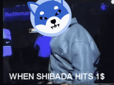 Person With Shiba Inu On Head When Shibada Hits 1 $ GIF