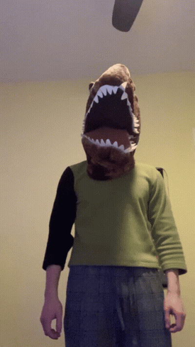 Person With Stuffed Shark Head GIF