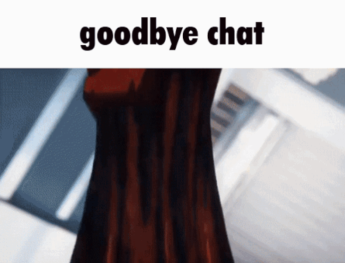 Person With Words Goodbye Chat GIF