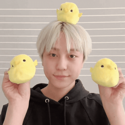 Person With Yellow Stuffed Duck On Head GIF