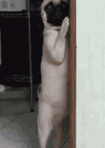 Person Writing No Homework It's Dinner Time In Notebook GIF