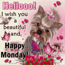Pet Puppy Tongue Out Monday Good Morning GIF