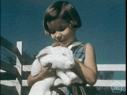Pet Rabbit Animal GIF