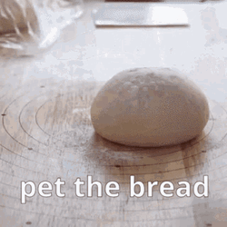 Pet The Bread