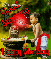 Petals Monday Good Morning GIF