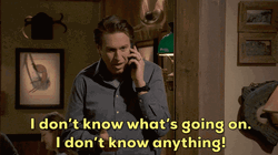 Pete Holmes Panicking Now  GIF