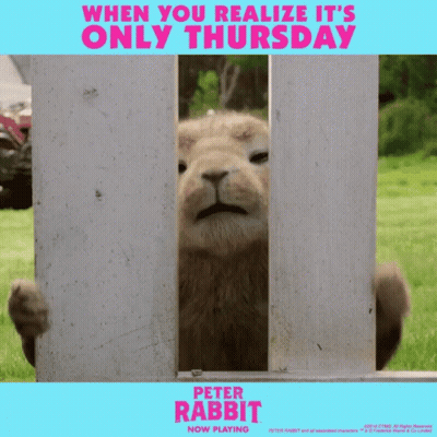 Peter Rabbit Poster Lion Peeking Through Fence GIF