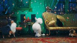 Pets Party Yea GIF