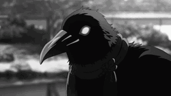Petting Anime Crow GIF